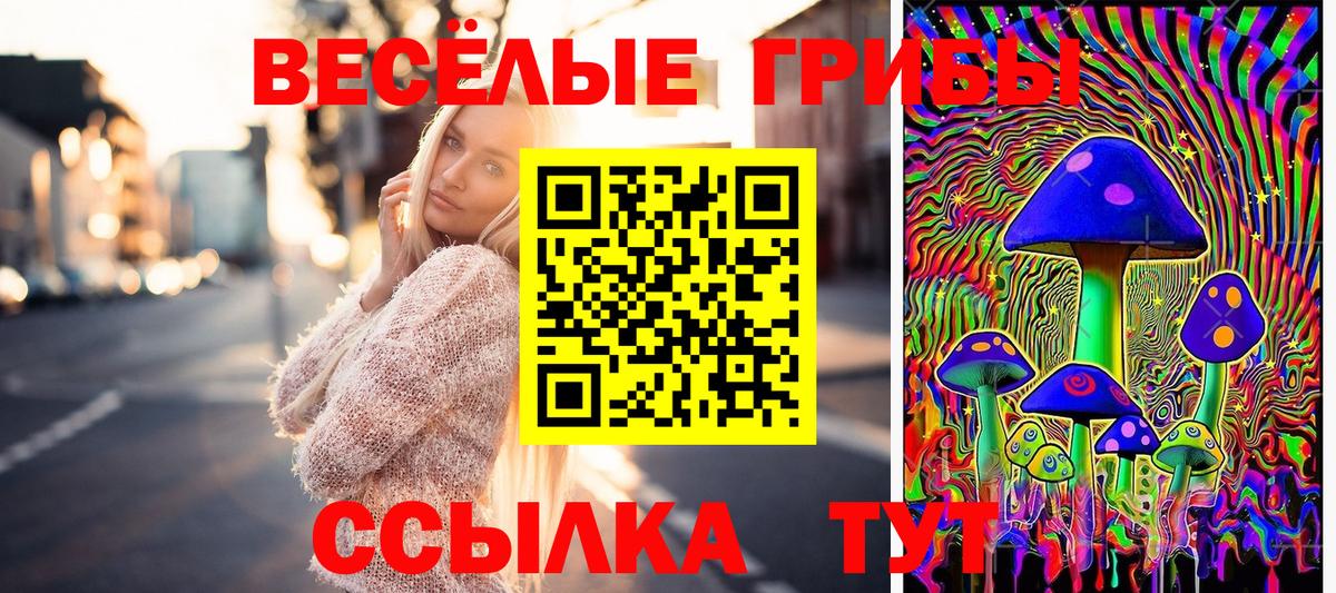Галлюциногенные грибы Psilocybe  Псилоцибиновые грибы Psilocybine cubensis  Вход с VPN  Псков 